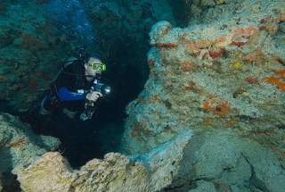 Buceo en arrecife